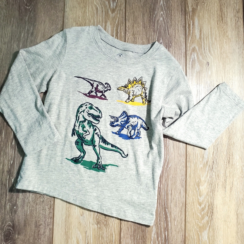 GAP LONG SLEEVE DINOSAUR GRAPHIC GRAY TEE SIZE 4, Set Of 2.